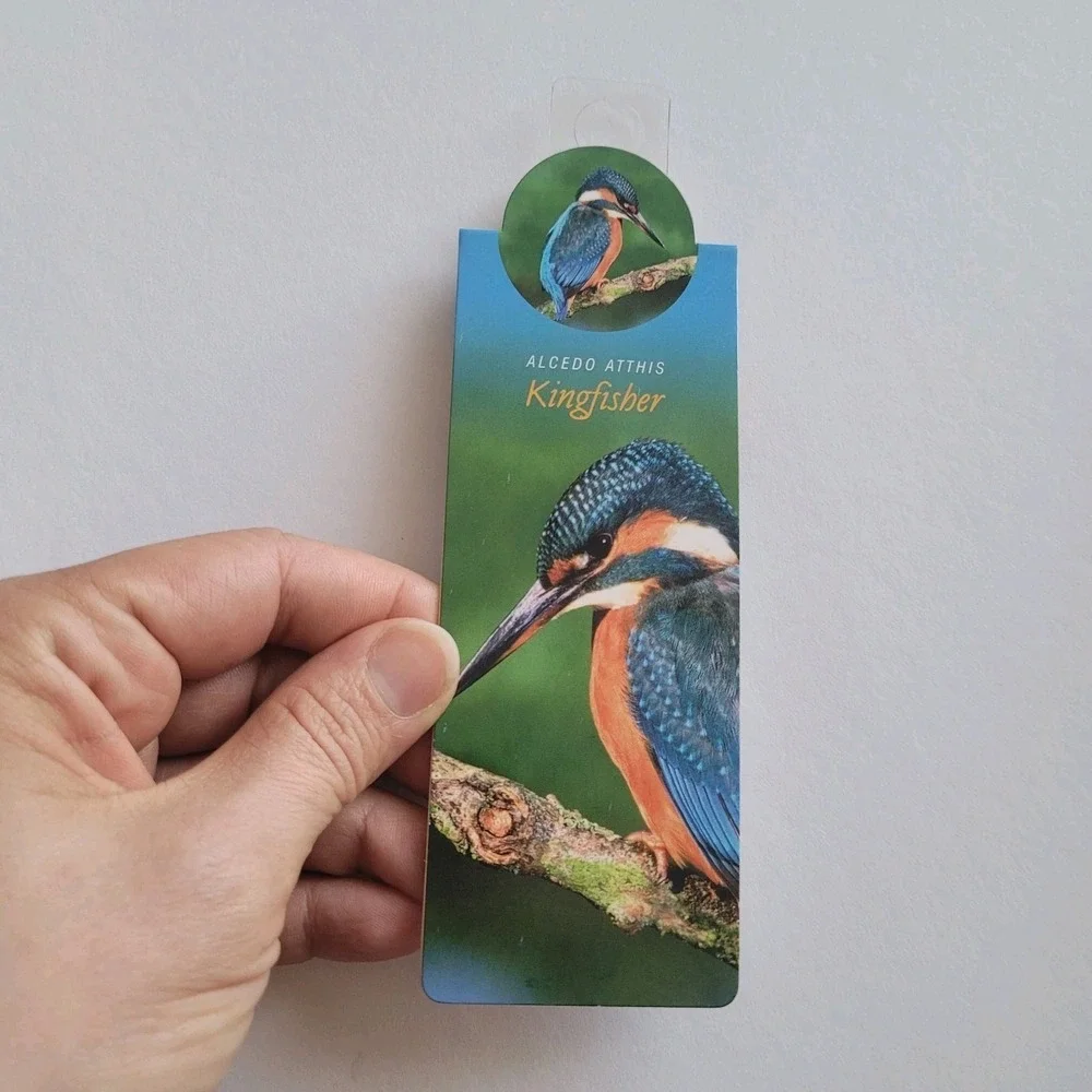 Cardmarks Kingfisher Bird Wild Nature Magnetic Magnet UK Company If 2402 Y2k 00s